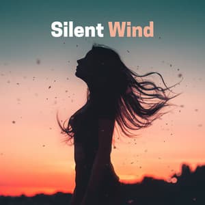Silent Wind - Sleep Sounds Ambient Noises