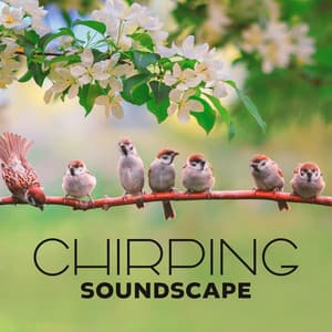 Chirping Soundscape - Nature Collection