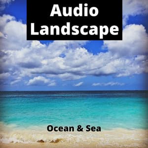 Audio Landscape - Ocean & Sea - ASMR Sea Waves