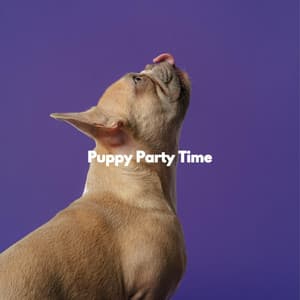 Puppy Party Time - New York Deluxe Dinner Jazz