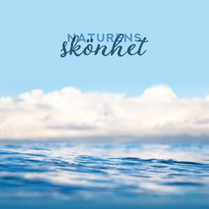 Naturens skönhet: Anslutning med skog, hav, regn för avslappning och meditation - Avslappning ljud klubb