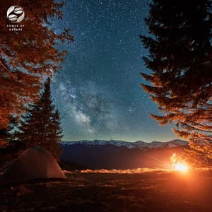 Nightscape Piano And Crickets' Harmony - Mystic Haven