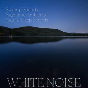 Swamp Sounds, Nighttime Ambience, Nature Sleep Sounds, White Noise, Loopable - Noise Colours