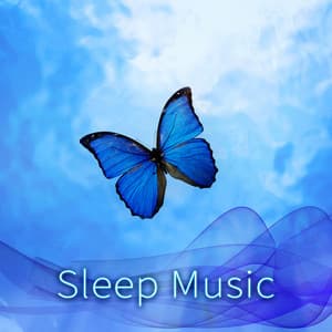 Sleep Music – Nature Sounds to Help You Relax, Baby Lullabies, Relaxation Meditation, Calm Southing Sounds, Relaxing Piano Music with Natural White Noise - Deep Sleep Music Zone