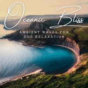 Canine Oceanic Bliss: Ambient Waves for Dog Relaxation - Wave and Ocean sounds