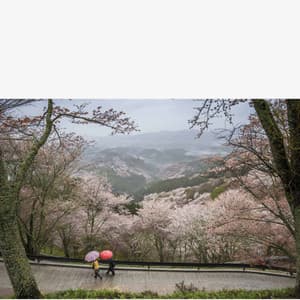 Self Care Days - Cheerful Instrumental Cafe Jazz