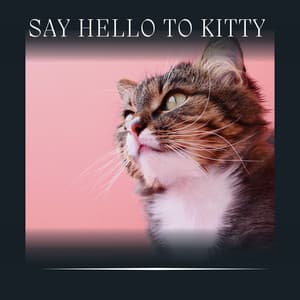 Say Hello to Kitty - Music For Cats