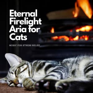 Eternal Firelight Aria for Cats: Music for Stress Relief - Fireplace Sounds