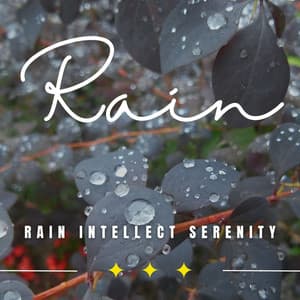 Dreamy Rain Intellect: Binaural Focus Rainfall - Rain For Deep Sleep