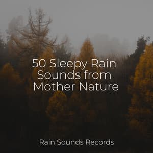 50 Sleepy Rain Sounds from Mother Nature - Meeresrauschen