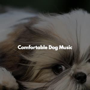 Comfortable Dog Music - Work Music Background Music