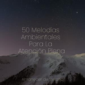 50 Melodías Ambientales Para La Atención Plena - Meditación
