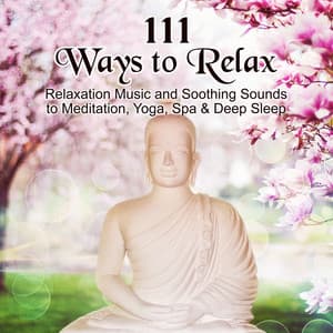 111 Ways to Relax: Relaxation Music and Soothing Sounds to Meditation, Yoga, Spa & Deep Sleep - Relaxation Academy