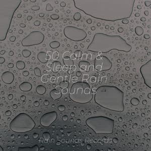 50 Calm & Sleep and Gentle Rain Sounds - Musica Romantica
