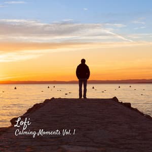Lofi: Calming Moments Vol. 1 - Brainwave Samples