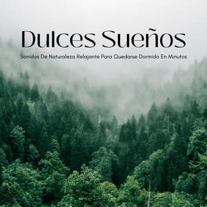 Dulces Sueños: Sonidos De Naturaleza Relajante Para Quedarse Dormido En Minutos - Sonidos de la Naturaleza para Dormir