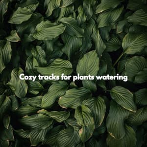 Cozy tracks for plants watering - Romantico Cafe Jazz