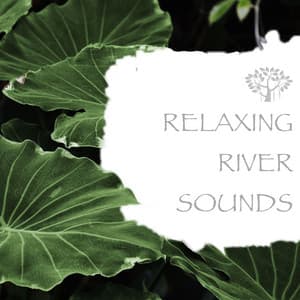 Relaxing River Sounds - Natural Spirit