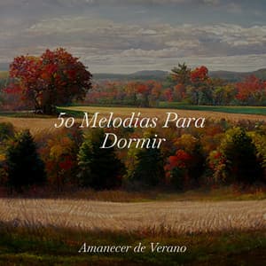 50 Melodías Para Dormir - Musica romantica instrumental
