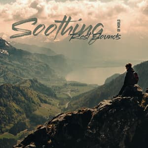 Soothing Rest Sounds of World - Restful Sleep Music Academy
