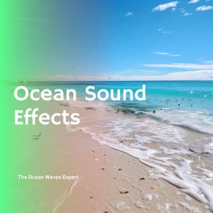 Ocean Sound Effects - The Ocean Waves Expert