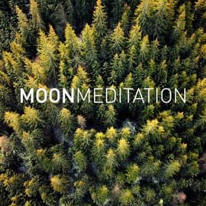 Zen Meditation - Moon Tunes