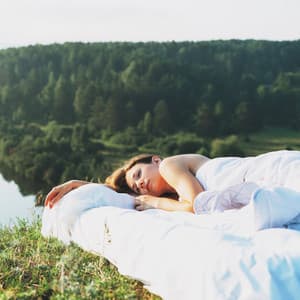 Cricket Serenity: Nature's Relaxation Harmonies with the Wind - Nature Of Sweden