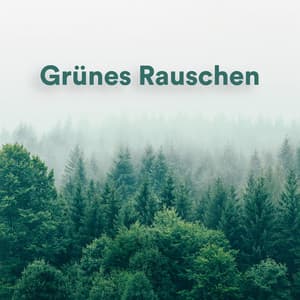 Grünes Rauschen - Weißes Rauschen HD