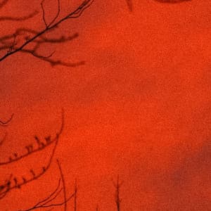 365 Horror: Totally Terrifying - Halloween Music