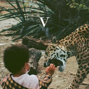 V - Unknown Mortal Orchestra