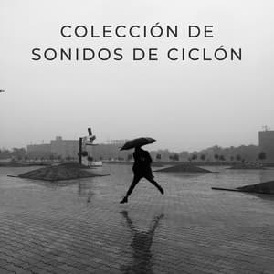 Colección De Sonidos De Ciclón - Fuertes sonidos de lluvia