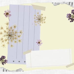 Music for Relaxed June Nites - Desayuno Jazz