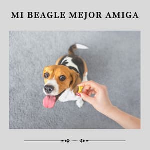 Mi Beagle Mejor Amiga - Biblioteca de Música Para Mascotas