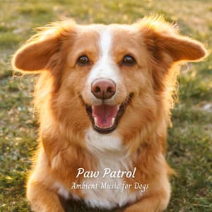 Paw Patrol: Ambient Music for Dogs - Sanctuary Of Relax