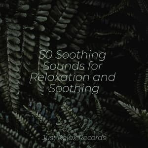 50 Soothing Sounds for Relaxation and Soothing - Yoga Namaste