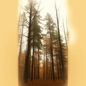 Haninah - Violin Music