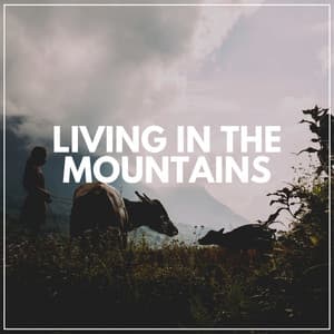 Living in the Mountains - Sounds of the Forest