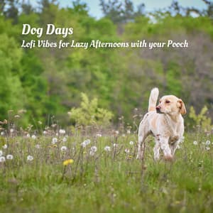 Dog Days: Lofi Vibes for Lazy Afternoons with your Pooch - lofi.sad