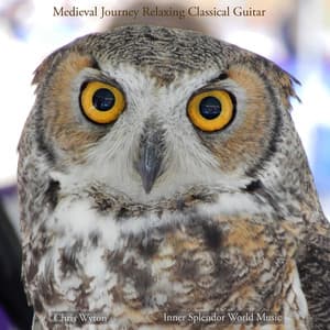 Medieval Journey - Inner Splendor World Music