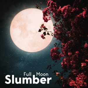 Full Moon Slumber: Relieve Insomnia - Yoga Tribe