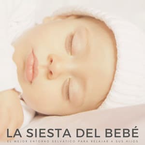 La Siesta Del Bebé: El Mejor Entorno Selvático Para Relajar A Sus Hijos - Los bebés aman Brahms