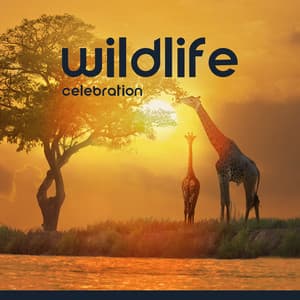Wildlife Celebration: Relax & Immerse in African Nature - Exotic Nature Kingdom