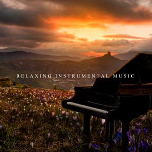 Relaxing Instrumental Music: New Age Vibe, Soothing Piano, Sounds of Nature - Instrumental Music Zone