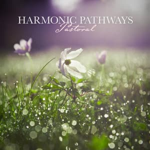 Pastoral - Harmonic Pathways
