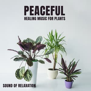 Peaceful Healing Music for Plants: Sound of Relaxation, Soft Rains for Flowers on Earth - Relieving Stress Music Collection