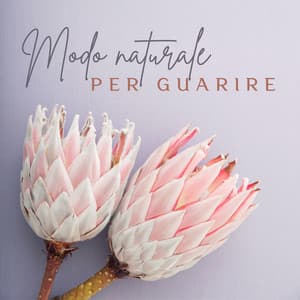 Modo naturale per guarire: Raccolta di suoni della natura per meditare, Guarire e ritrovare la pace - Relax musica zen club
