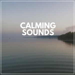 Calming Sounds - Meditation Zen