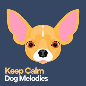Keep Calm Dog Melodies - Dog Relaxation