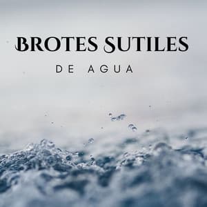 Brotes Sutiles De Agua - Sonidos relajantes del agua