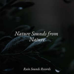 Nature Sounds from Nature - Calming Waves